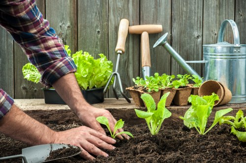 Front view of a gardener assessing a landscaped garden