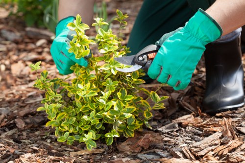 Gardeners preparing a written estimate on site in Euston