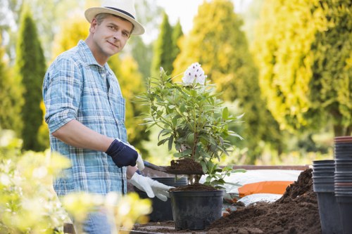 Eco-friendly lawn mowing practices