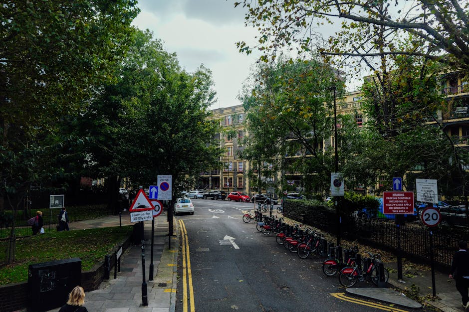 A view of a small urban garden in Euston featuring a paved pathway with a tactile yellow strip for accessibility, leading towards a grassy area bordered by a low, black metal fence. The garden has wel