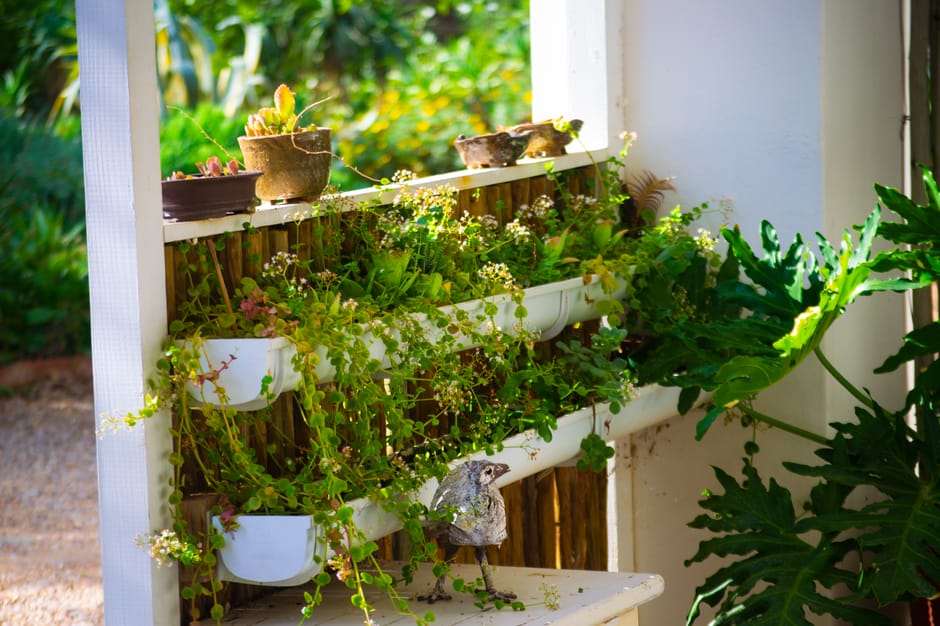 A small, well-maintained terrace garden featuring a white wooden vertical planter with multiple tiers of lush green plants, including trailing foliage and small flowering species, set against a backdr